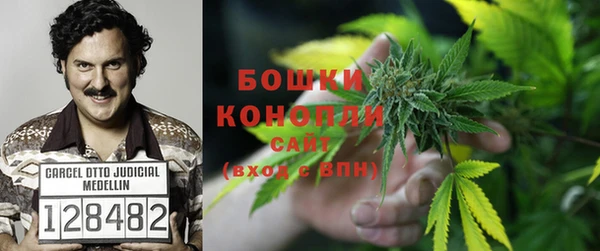 прущие крисы Беломорск