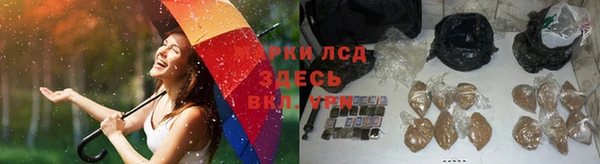 прущие крисы Беломорск